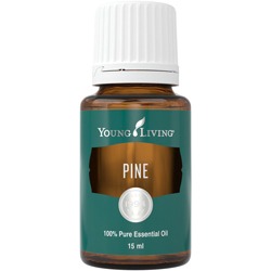 Pine – Kiefer – 15 ml