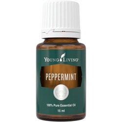 Peppermint – Pfefferminze