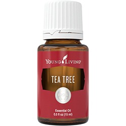 Tea Tree – Teebaumöl – 15 ml