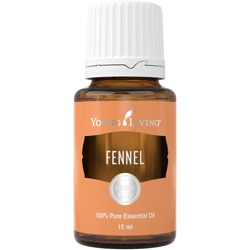 Fennel – Fenchel