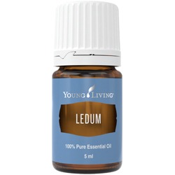 Ledum – 5 ml