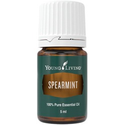 Spearmint – Grüne Minze – 5 ml