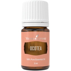 Ocotea - 5 ml