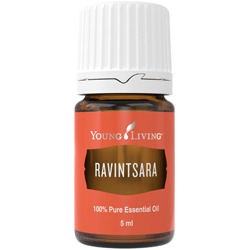 Ravintsara öl (Ravintsara) 5 ml