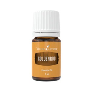 Goldrutenöl (Goldenrod) - 5 ml